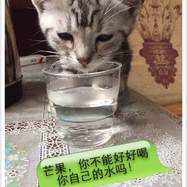 学位证没拿到算本科嘛